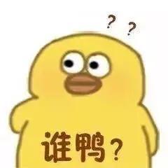 疑问表情图片搞笑