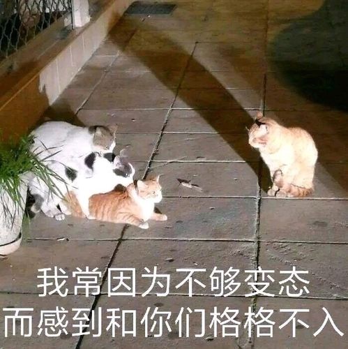 策划瞎改,真正的黑暗时代网游什么样