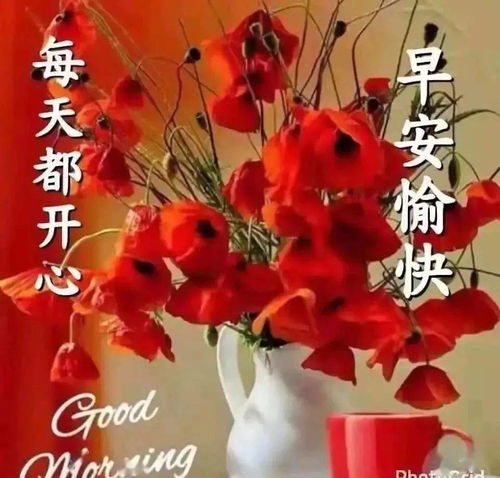 特漂亮的早上好表情包,愿我们伴着不老的岁月,永远开心快乐
