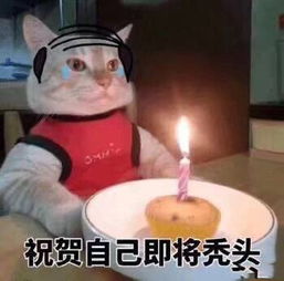 关于脱发的表情包合集我还是你最爱的小秃头吗