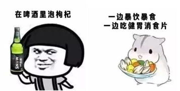 爆笑如果用表情包来总结2017,你的会不会是这样