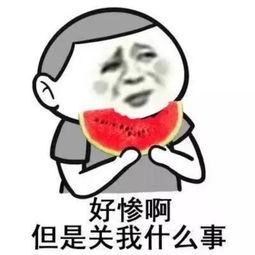 表情包丨嘴臭网友已上线