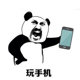 搞笑表情包你说你回来到现在,整天都在干嘛