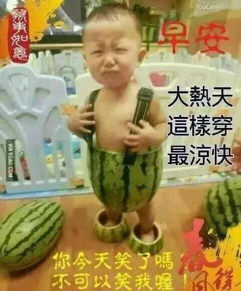 6张秋天非常有创意的秋老虎早上好图片表情带字秋天有趣的早安图片带字
