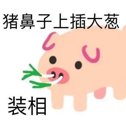 歇后语表情包真是王八买西瓜