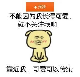 暴走漫画二次元动漫表情包搞笑斗图聊堆糖,美好生活研究所