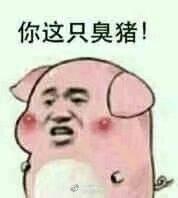 有哪些猪的搞笑图片或者表情包