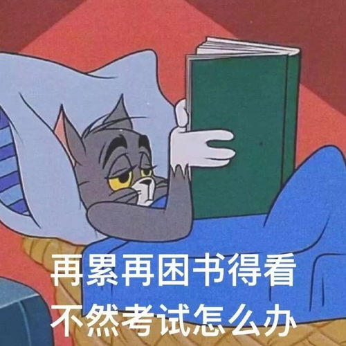 缓考补考申请攻略,通通看这里