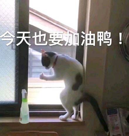 不对劲不对劲近期斗图表情包精选20201010斗图表情