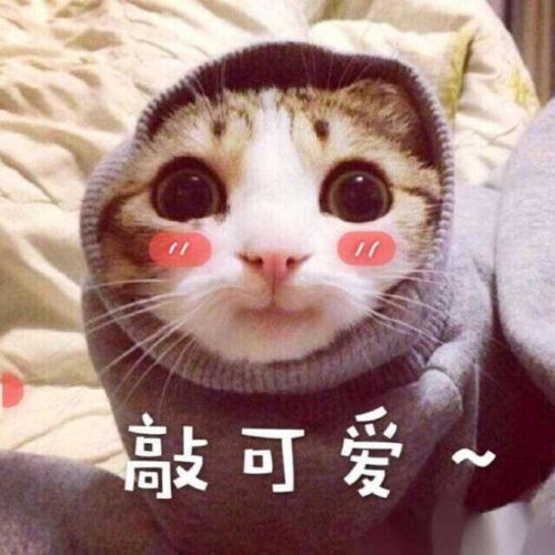 高三回忆录我的高三各科老师之一最牛掰的地理老师