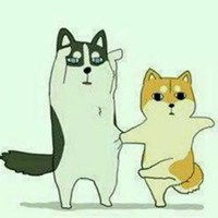 二哈和柴犬的情侣头像微信头像图片大全