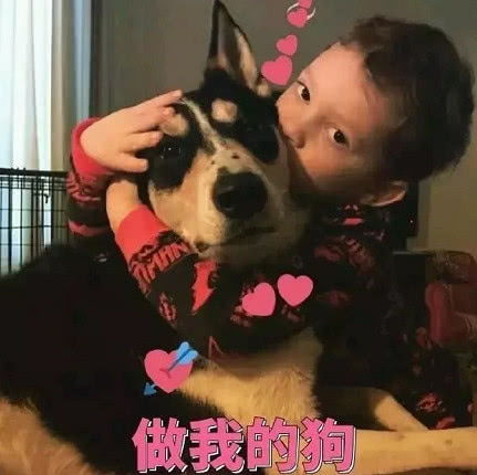 表情抖音最火的道歉表情包,哈哈,你缺一个这样的女票腾讯网qq.com表情