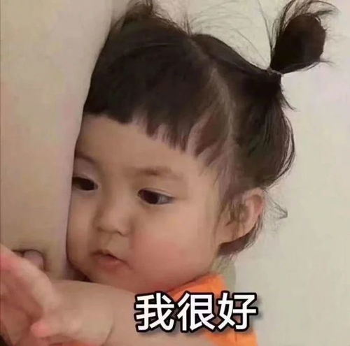 最新热门搞笑表情包图片感到压力