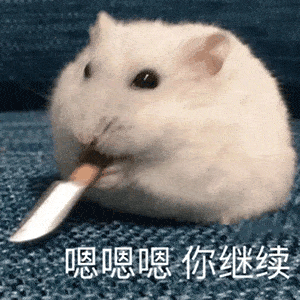 沙雕聊天表情包i宝贝我来啦