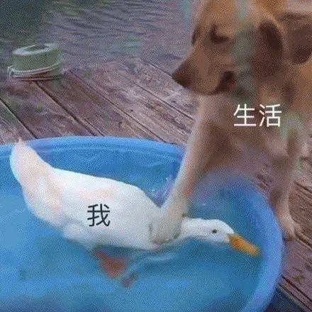 3种早餐暗含1级致癌物,鸡蛋青菜竟在其中多吃一次癌近一步,能不碰就不碰
