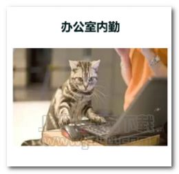 公司各部门领导表情图片公司各部门领导表情包完整版jz5u绿色下载站