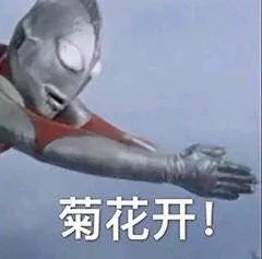 调戏对象表情包