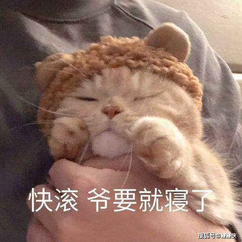 沙雕表情包图片靓仔,到点打工了