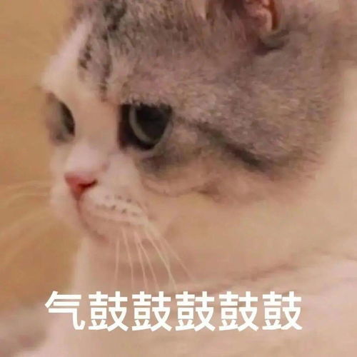 沙雕表情终于轮到我了