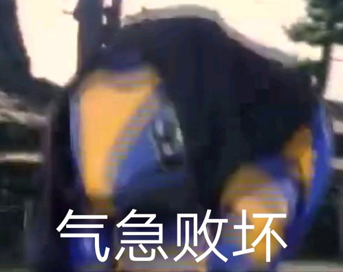 哔哩哔哩专栏