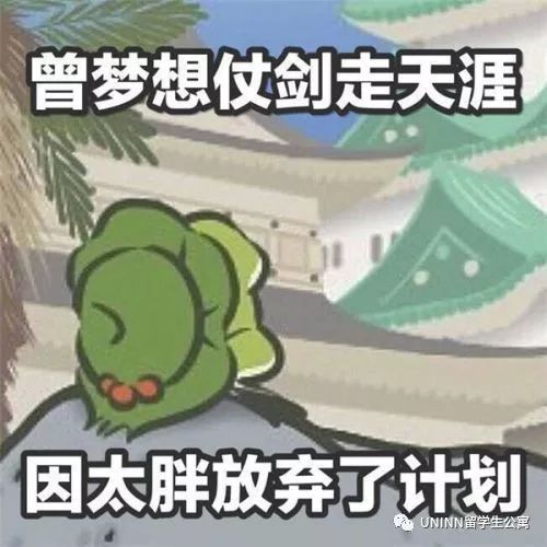 福利福利佛系养蛙操作指南与翻译大全