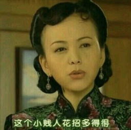 这个小贱人花招多得很表情包