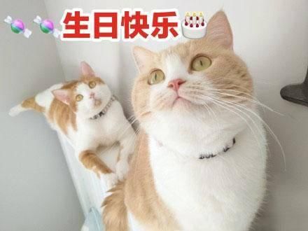 不烂大街的生日祝福文案