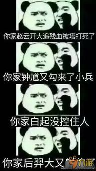 王者荣耀斗图表情包第八期你家小乔带狂暴