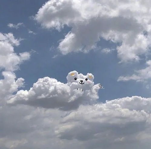 夏天来啦