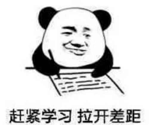 努力赚钱的狗子的相册表情包