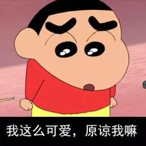 有时候和老公说话,简直就是鸡同鸭讲
