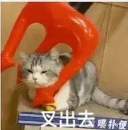 超级沙雕的表情包搞笑表情包动态图片带字0922期