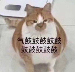 生气表情包我在生气耶