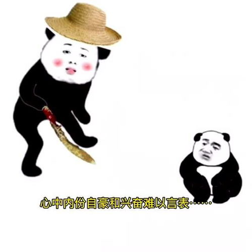 搞笑表情包段子