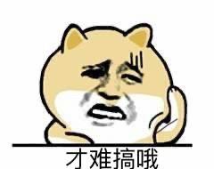 可爱搞笑表情包小肥