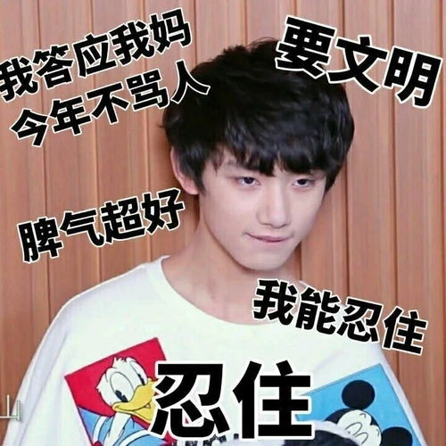 时代少年团表情包搞笑丁程鑫