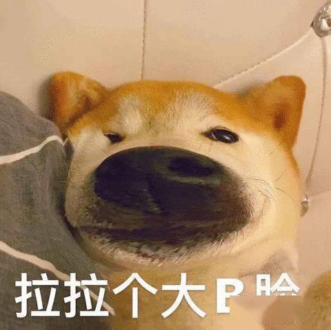 沙雕表情怪让人不好意思的