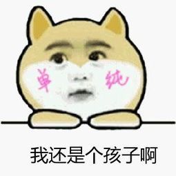 不再区分文理高考报名将于11月15日开始,6大事项要注意