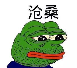 肇庆又来一波僵尸车出没看看有没有你见过的