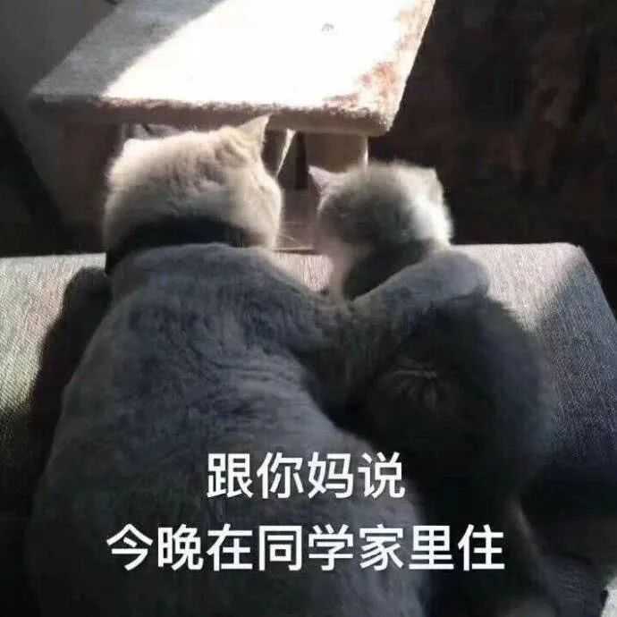 搞笑文案这都不点赞,说明你手机不行