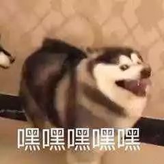 热点听实现不了樱桃自由那周末个人去摘嘛
