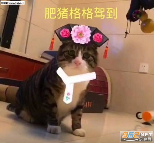 单身可撩随意撩纯文字图片是妒忌的味道表情包图片下载乐游网游戏下载