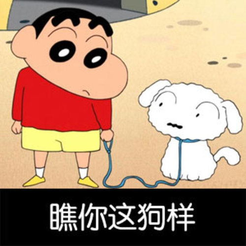 厉害了word国际庄