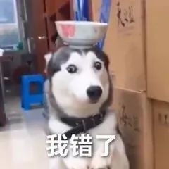 搞笑文案岁月让我知道了,除了外卖我谁都不必等