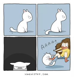和猫住在一起是什么感觉