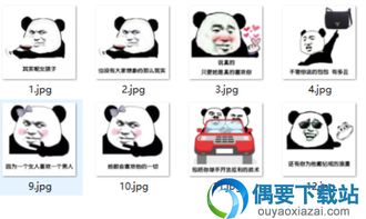无图无真相搞笑表情包女孩子