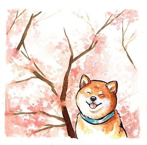 二哈柴犬卡通头像嫂子