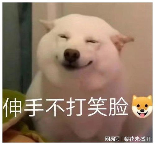 幽默段子兄弟,嘚瑟吧嘚瑟过头了吧摔倒了吧