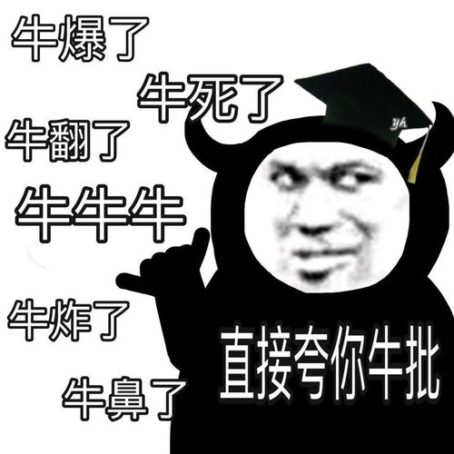 沙雕熊猫头嗨,没人要的小宝贝