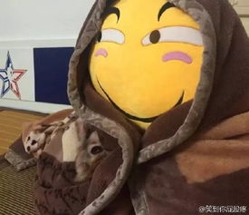滑稽表情搞笑图片完美cos这个抱枕有毒